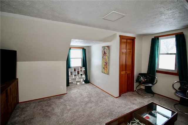 interior space featuring vaulted ceiling, a textured ceiling, and carpet flooring