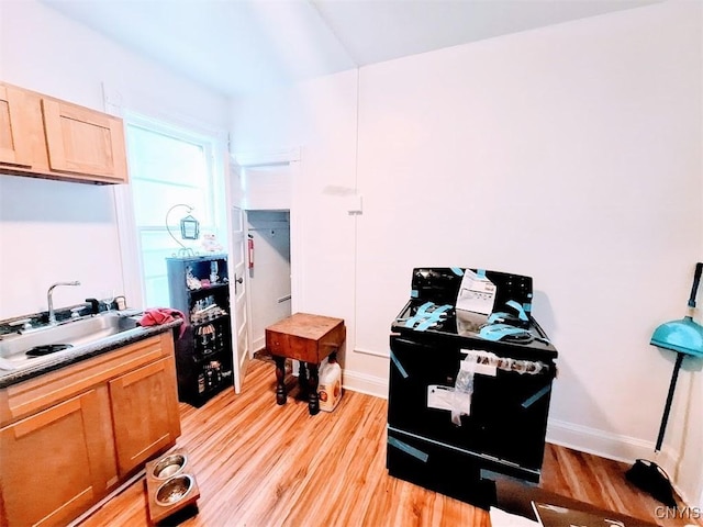 kitchen featuring sink and light hardwood / wood-style flooring