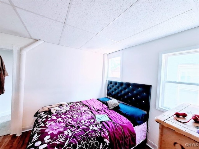 bedroom with dark wood-type flooring and a paneled ceiling