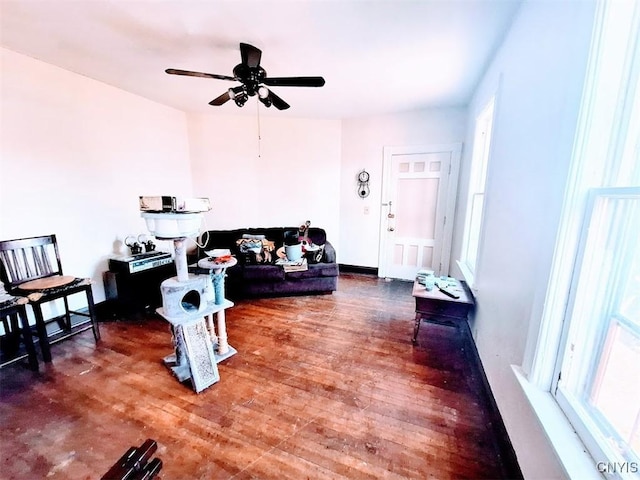 living room with dark hardwood / wood-style floors, a wealth of natural light, and ceiling fan