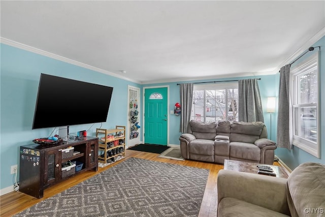 living room featuring ornamental molding and wood-type flooring