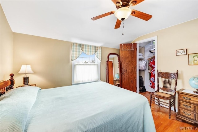 bedroom featuring a walk in closet, a closet, ceiling fan, and light wood-type flooring