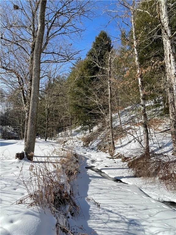 3843 Charlotte Creek Rd, Davenport, NY 13750 - view of yard covered in snow