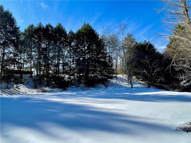 view of yard covered in snow