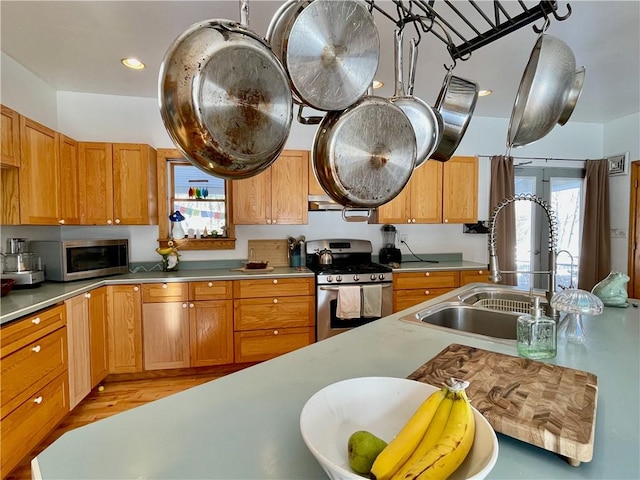 3843 Charlotte Creek Rd, Davenport, NY 13750 - kitchen featuring stainless steel appliances, a sink, light countertops, light wood-style floors, and ventilation hood