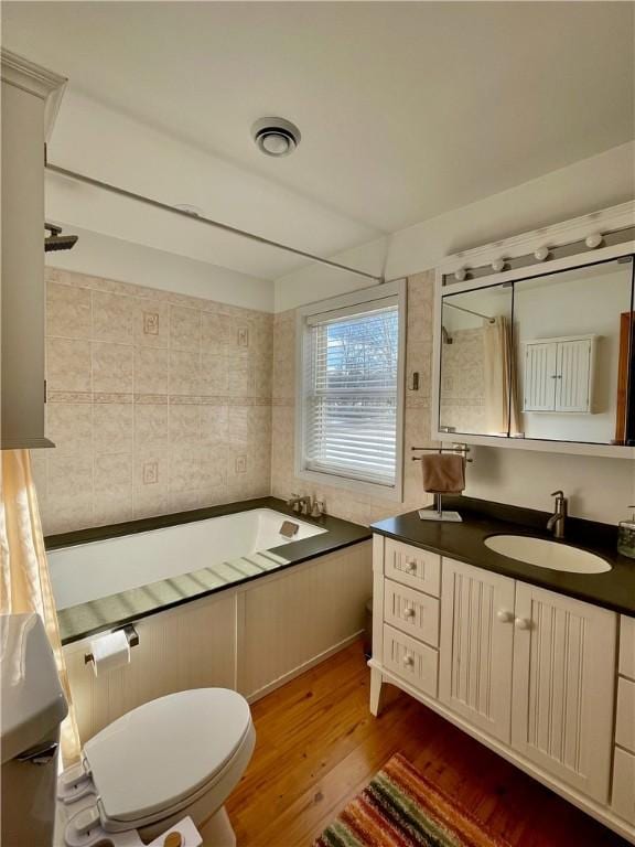 3843 Charlotte Creek Rd, Davenport, NY 13750 - full bathroom with wood finished floors, vanity, a tub to relax in, and toilet