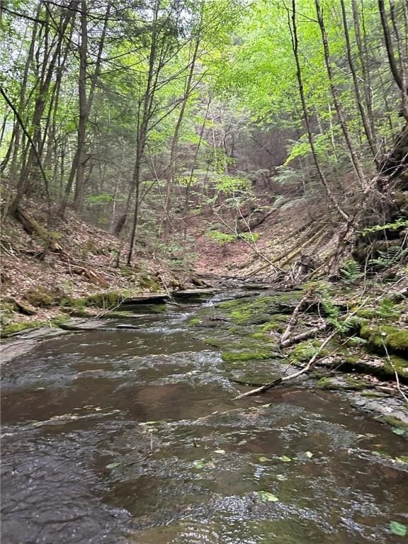 view of local wilderness