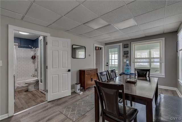 dining room featuring a paneled ceiling and light hardwood / wood-style flooring