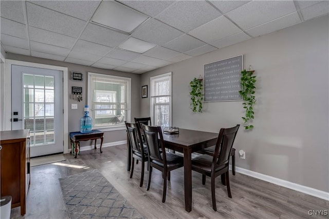 dining space featuring a drop ceiling and light wood-type flooring