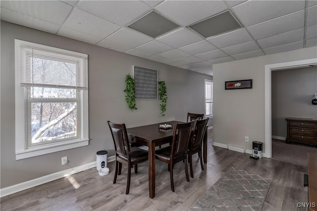 dining area featuring a drop ceiling and wood-type flooring