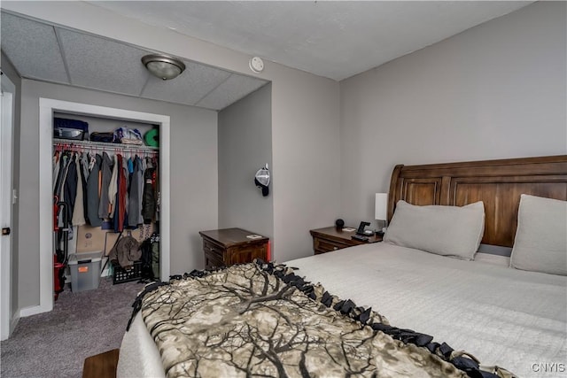 bedroom featuring carpet floors and a closet