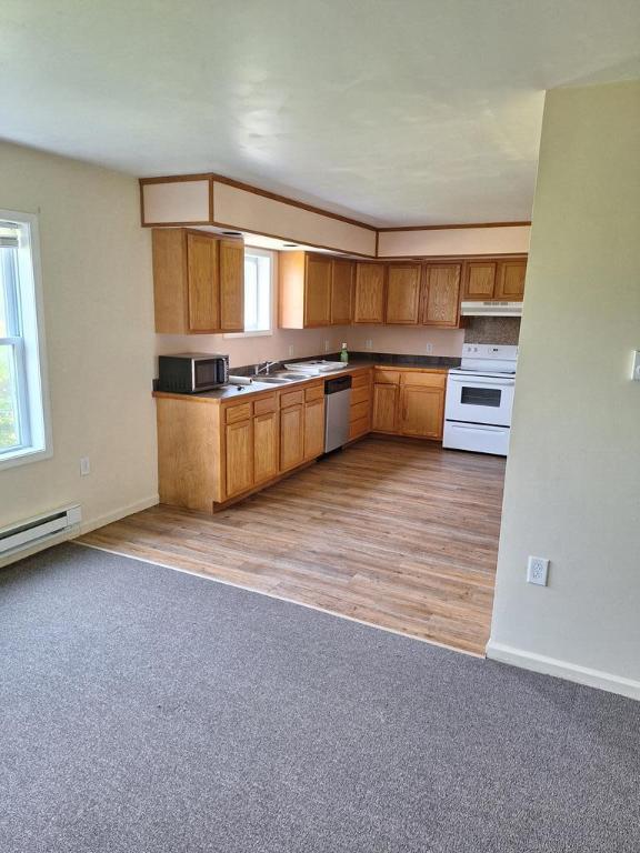 kitchen featuring light colored carpet, appliances with stainless steel finishes, sink, and a wealth of natural light