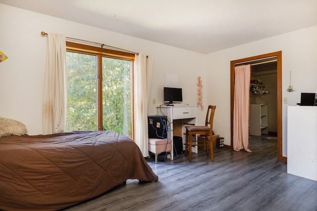 bedroom with dark hardwood / wood-style floors