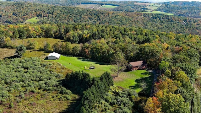 bird's eye view with a rural view