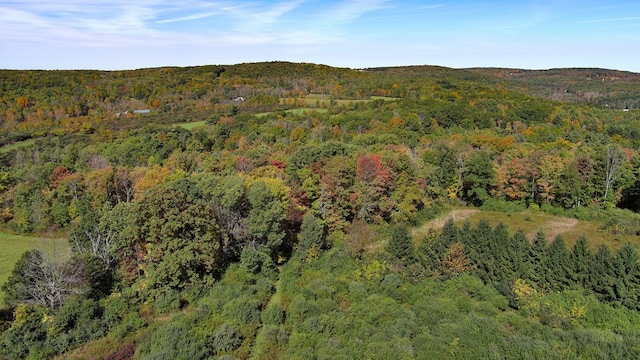 view of mountain feature