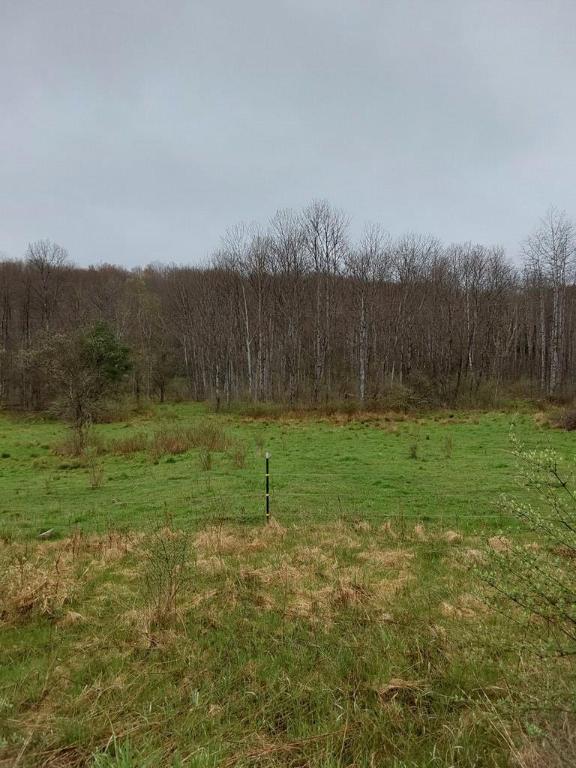 Listing photo 3 for 0 Griffin Rd, Thurston NY 14821