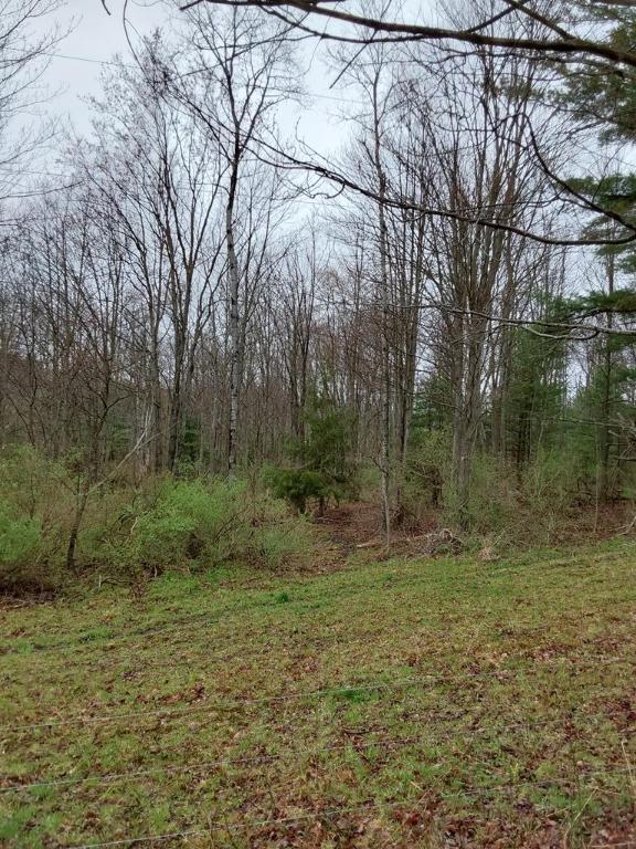 Address Not Disclosed, Thurston NY, 14821 land for sale