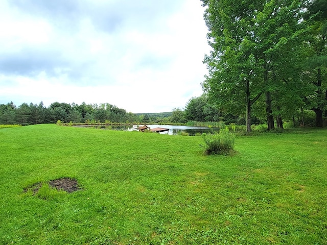 view of yard with a water view