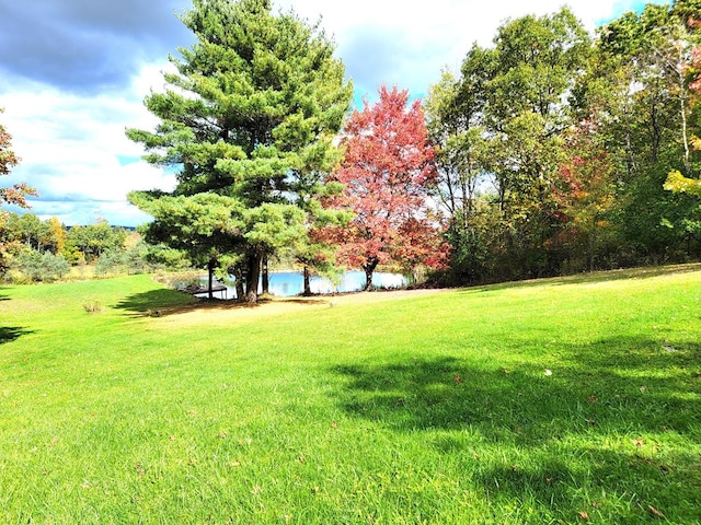 3530 Coats Rd, Hector, NY 14818 - view of grassy yard