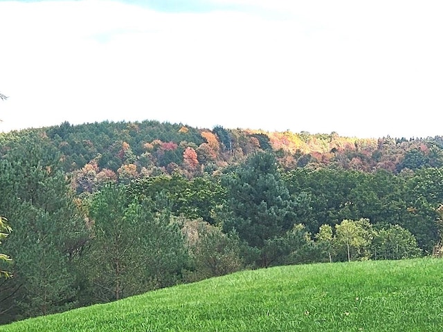 3530 Coats Rd, Hector, NY 14818 - view of wooded area