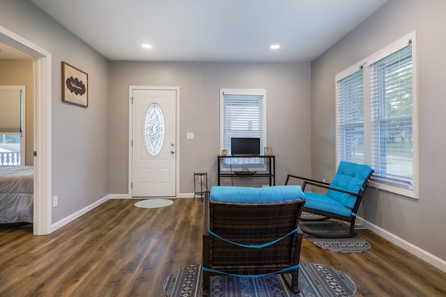 entryway with dark wood-type flooring and a healthy amount of sunlight