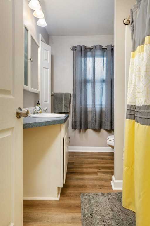 bathroom with vanity, wood-type flooring, and toilet