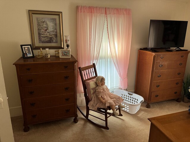 living area featuring light carpet