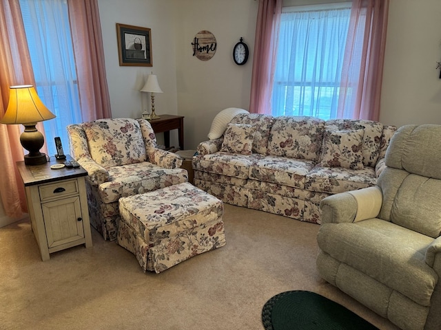 view of carpeted living room