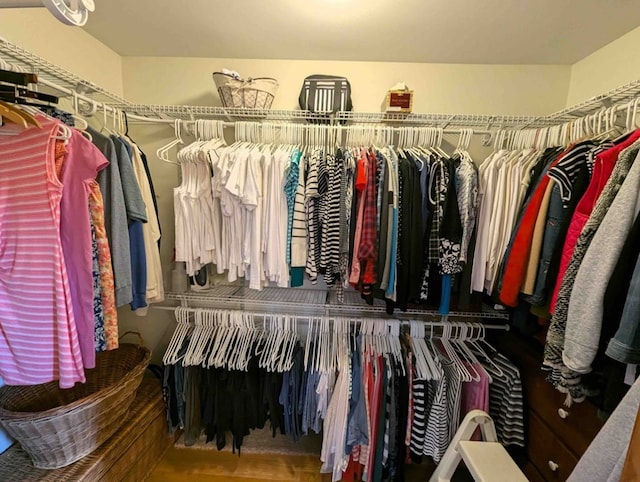 view of spacious closet