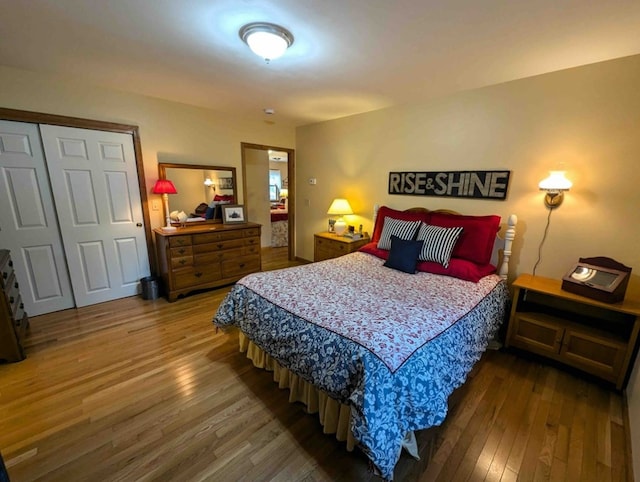 bedroom featuring wood-type flooring and a closet