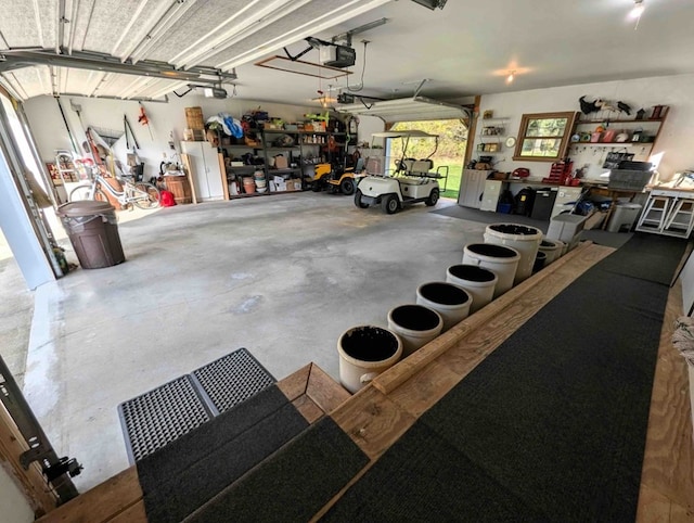 garage with a garage door opener and a workshop area