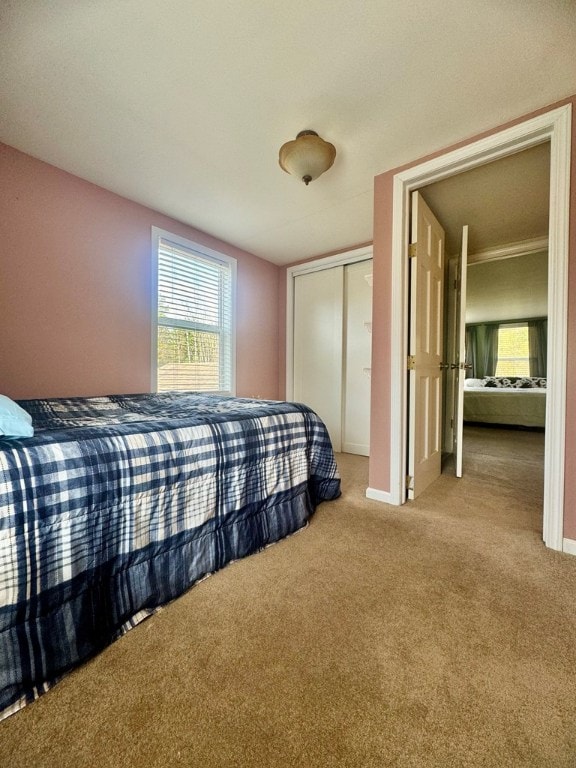 bedroom featuring carpet flooring and a closet