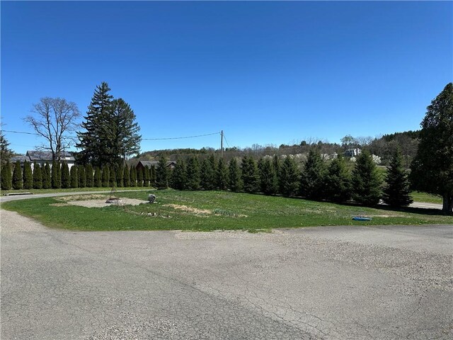 345 Ridge Rd, Veteran, NY 14845 - view of street