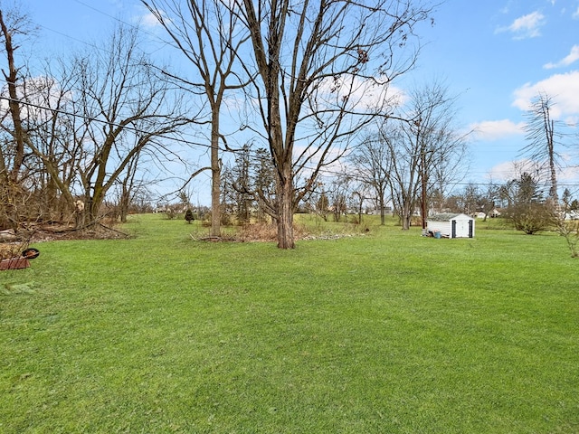 view of yard with a storage unit