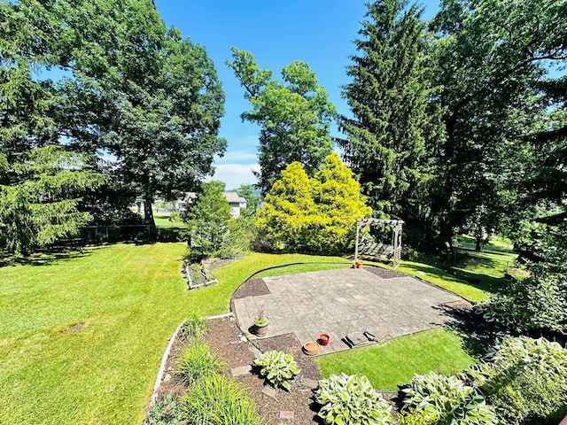 view of yard with a patio area