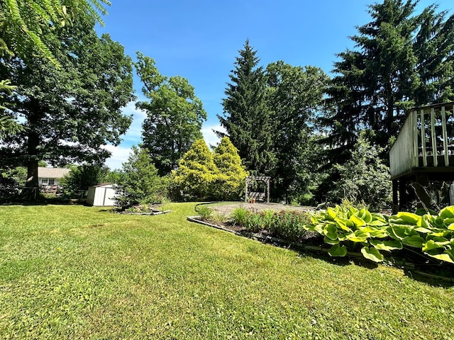 view of yard featuring a storage shed