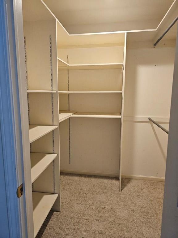 spacious closet featuring carpet