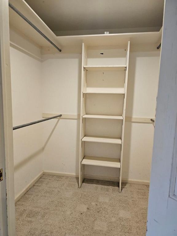 spacious closet with light colored carpet