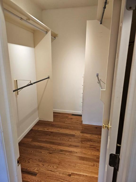 walk in closet with a barn door and dark wood-type flooring