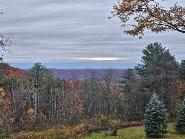 view of mountain feature