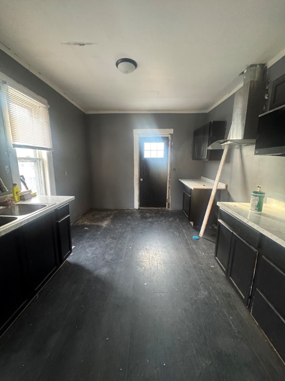 kitchen featuring ornamental molding, sink, and dark hardwood / wood-style flooring