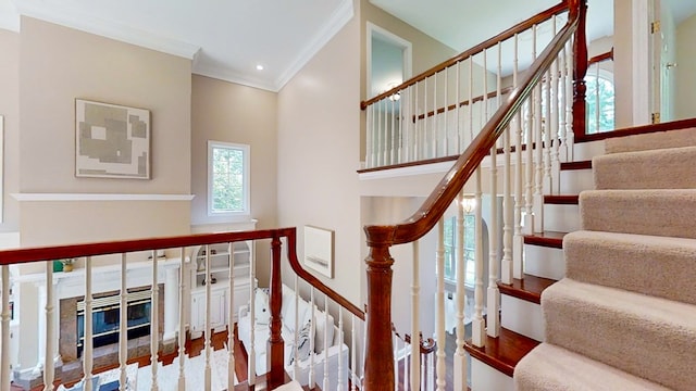 stairs featuring hardwood / wood-style flooring and ornamental molding