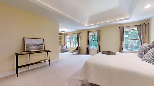 carpeted bedroom with a raised ceiling