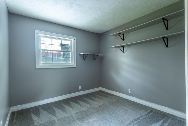 walk in closet with carpet floors