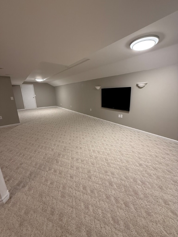 basement featuring carpet