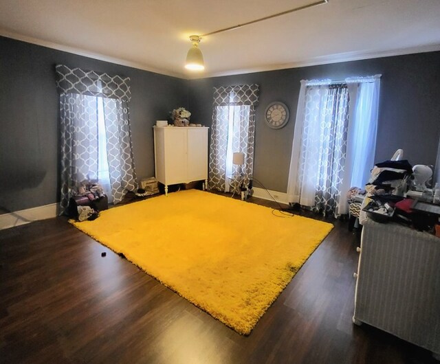 interior space featuring crown molding and dark wood-type flooring