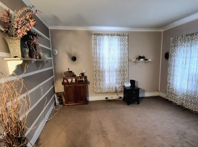 interior space with ornamental molding and carpet floors