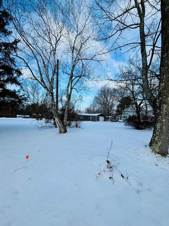 view of yard layered in snow