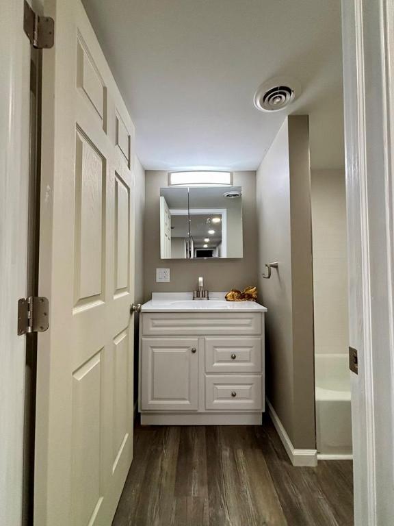 bathroom featuring hardwood / wood-style flooring and vanity