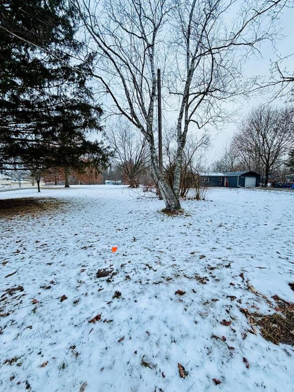 view of yard covered in snow